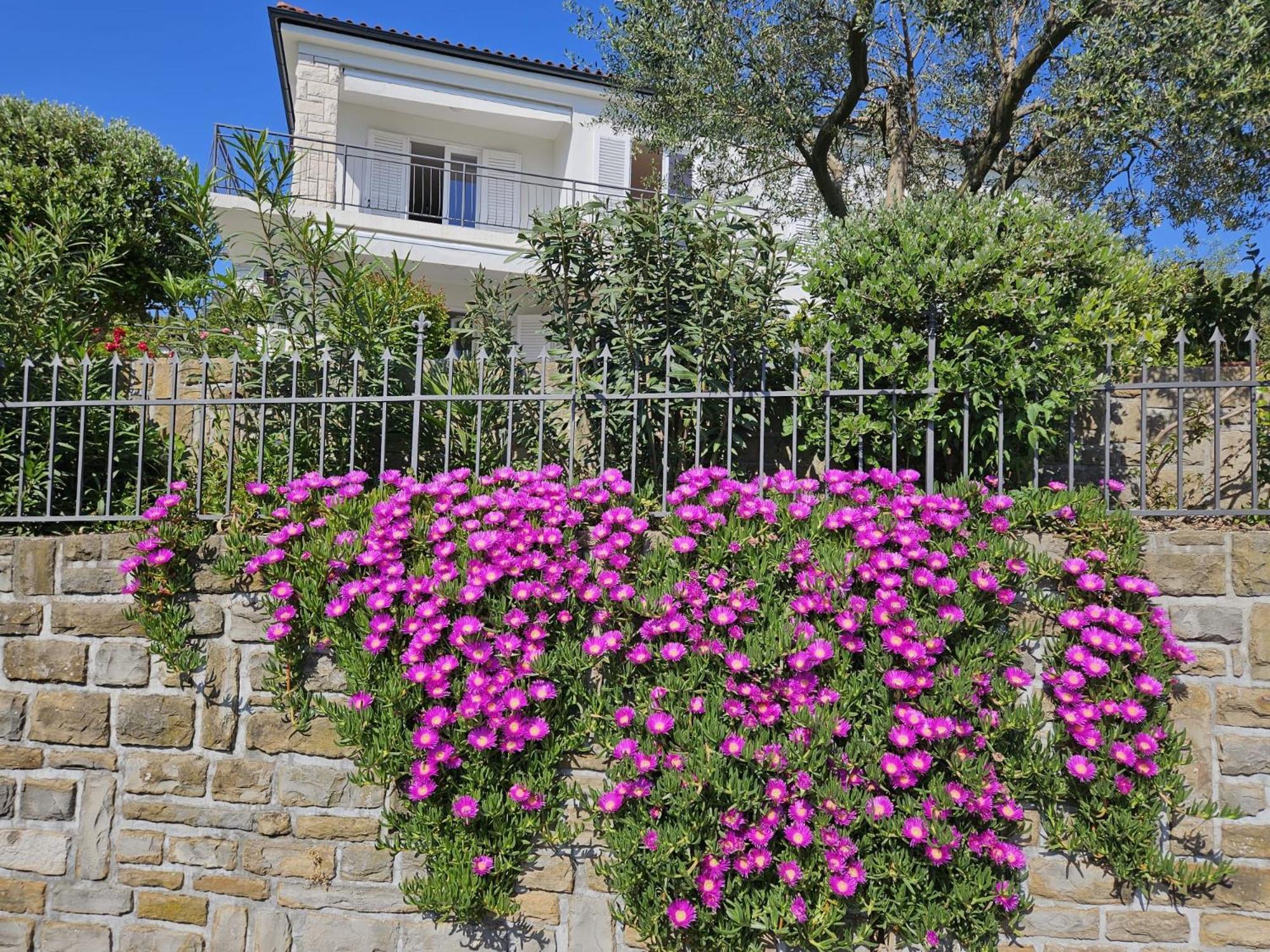 Apartment Solare Portoroz Exterior foto